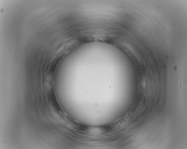 X0000089430218200707061352