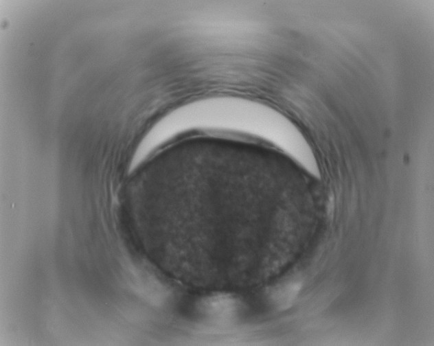 X0000089430219200707061351