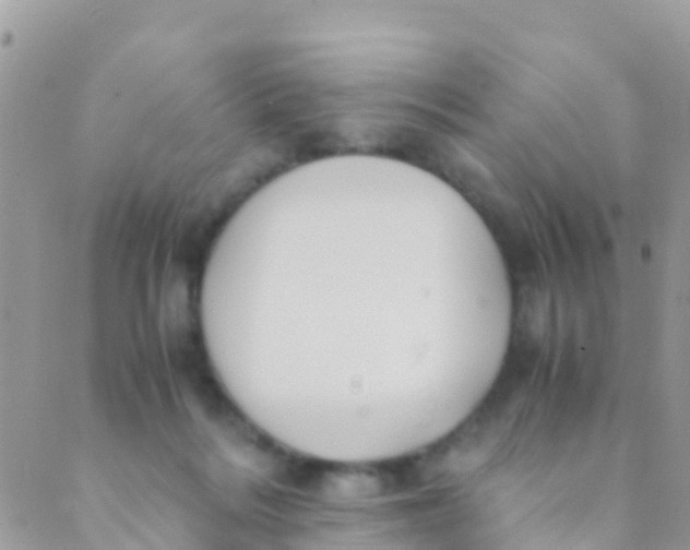 X0000089430220200707061351