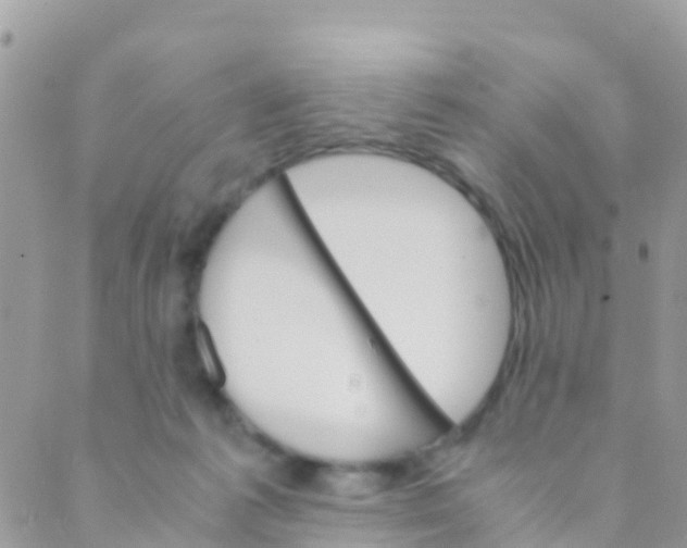 X0000089430221200707061351