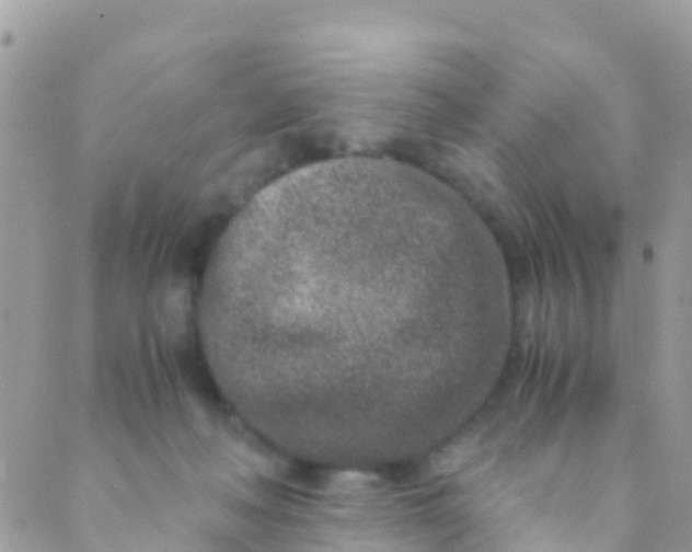 X0000089430222200707061351