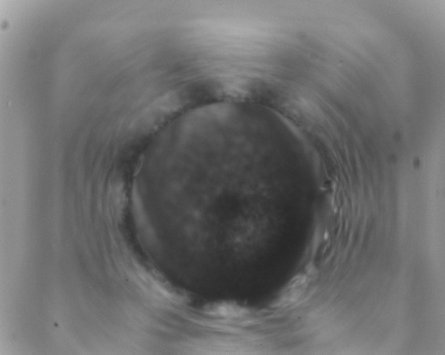 X0000089430223200707061351