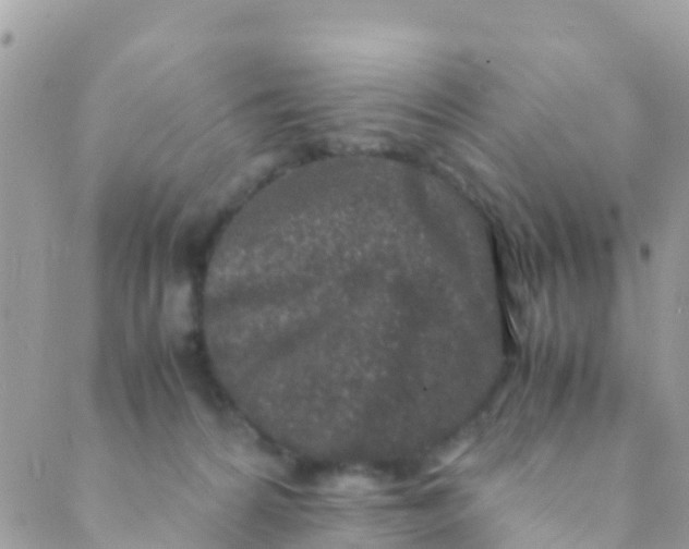 X0000089430224200707061351