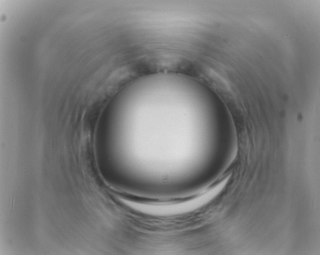 X0000089430225200707061351