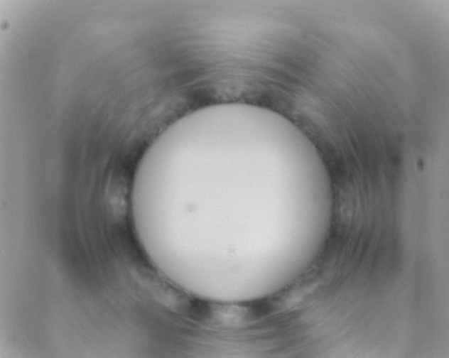 X0000089430226200707061351