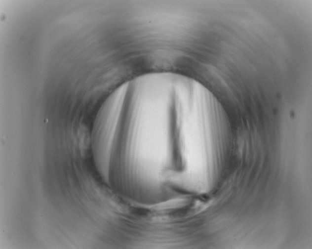 X0000089430228200707061351