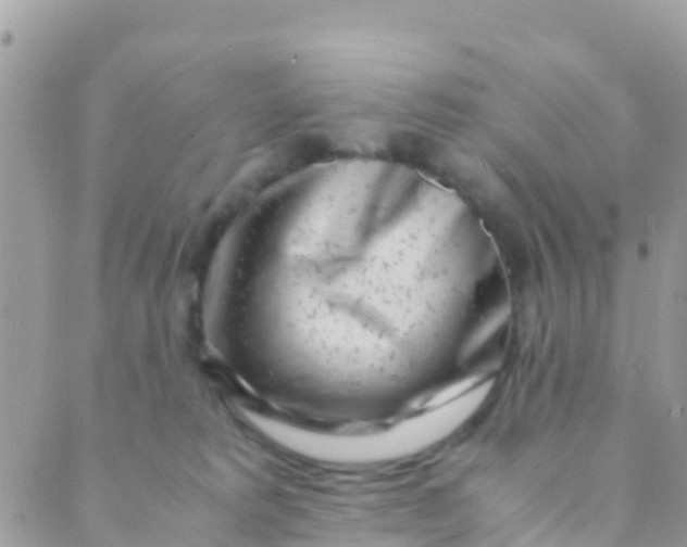 X0000089430229200707061351