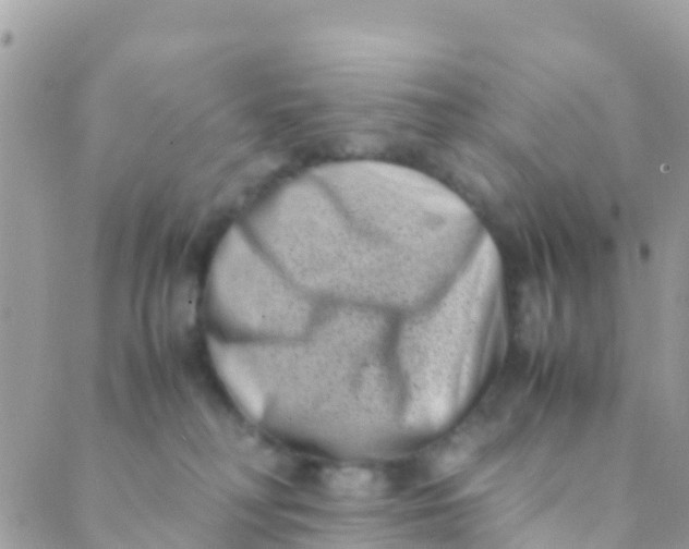 X0000089430230200707061351