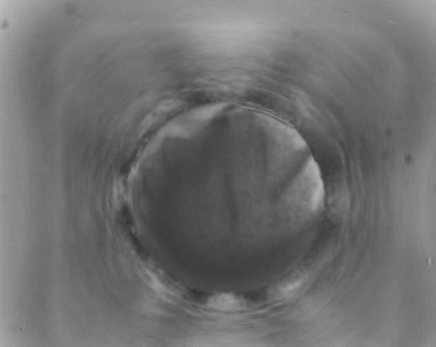 X0000089430231200707061351