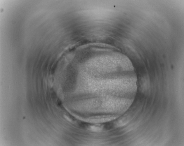 X0000089430232200707061351