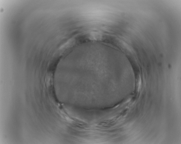 X0000089430233200707061351