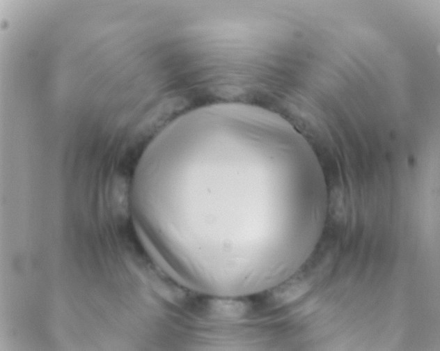 X0000089430234200707061351