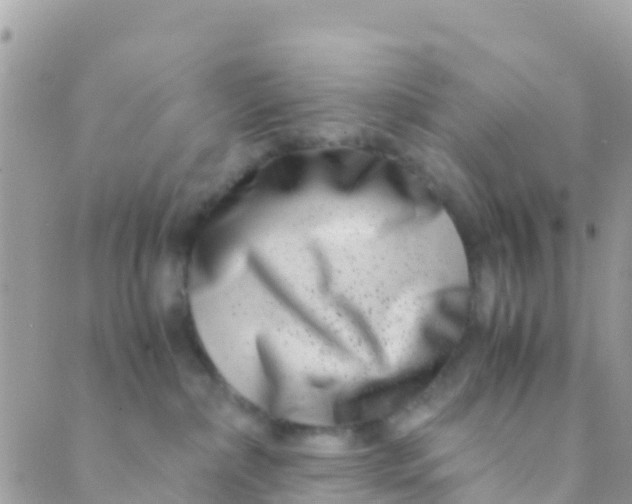 X0000089430236200707061351