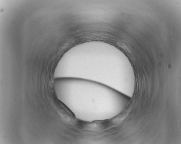 X0000089430237200707061351