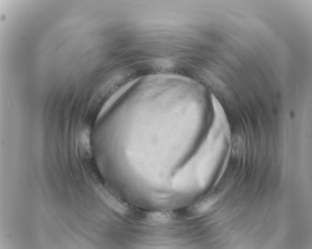 X0000089430238200707061351