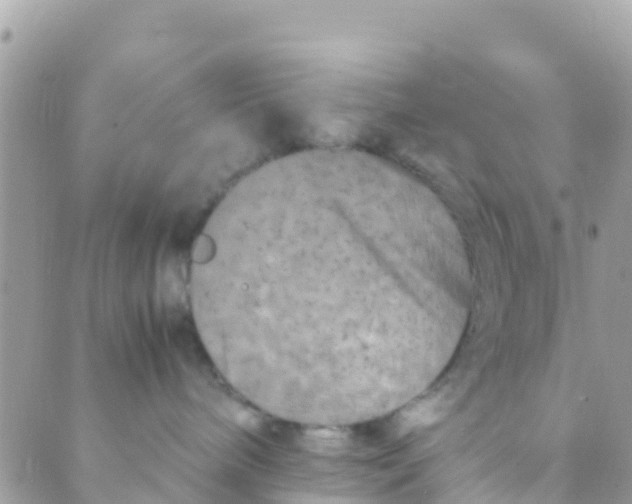 X0000089430240200707061351