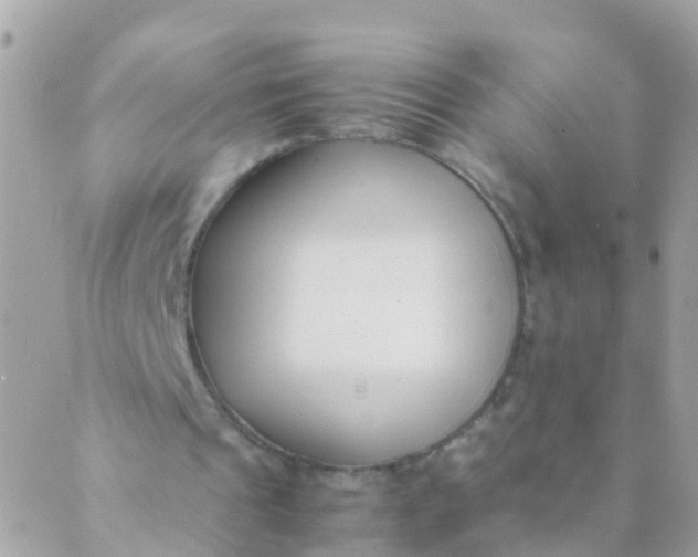 X0000089430241200707061350