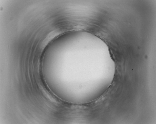 X0000089430242200707061350