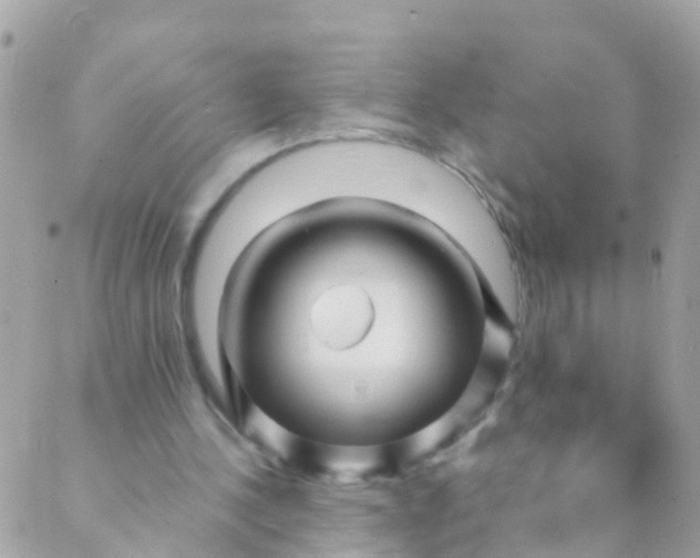 X0000089430244200707061350