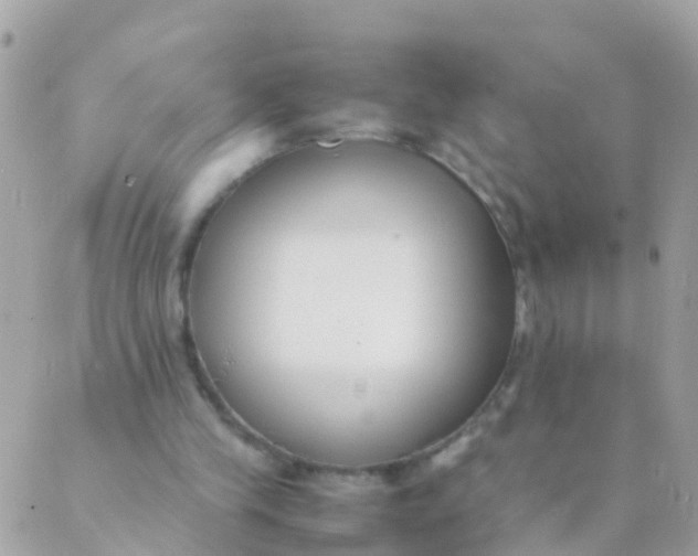 X0000089430245200707061350