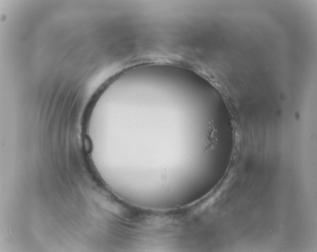 X0000089430246200707061350