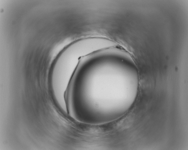 X0000089430248200707061350