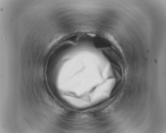 X0000089430249200707061351