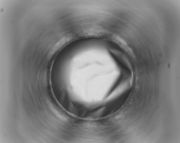 X0000089430250200707061351