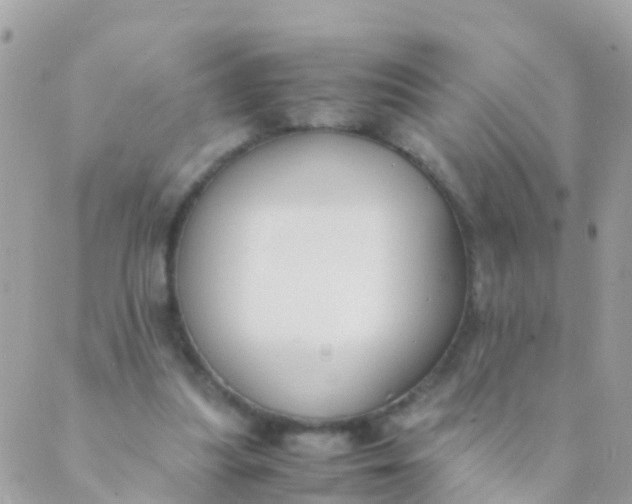 X0000089430251200707061351