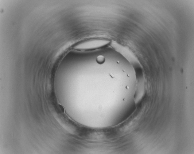 X0000089430252200707061351