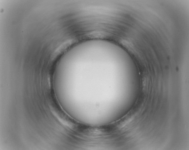 X0000089430254200707061351