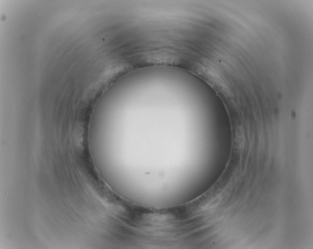 X0000089430255200707061351