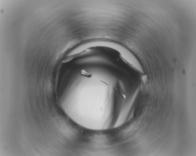 X0000089430256200707061351