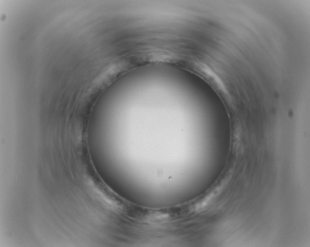 X0000089430257200707061351