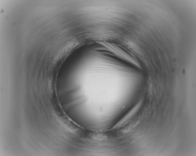 X0000089430258200707061351