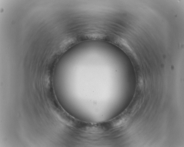 X0000089430259200707061351