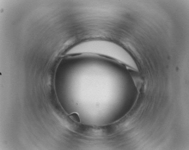 X0000089430260200707061351