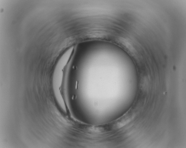 X0000089430261200707061351