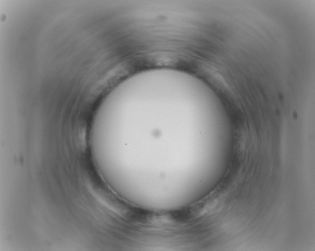 X0000089430262200707061351