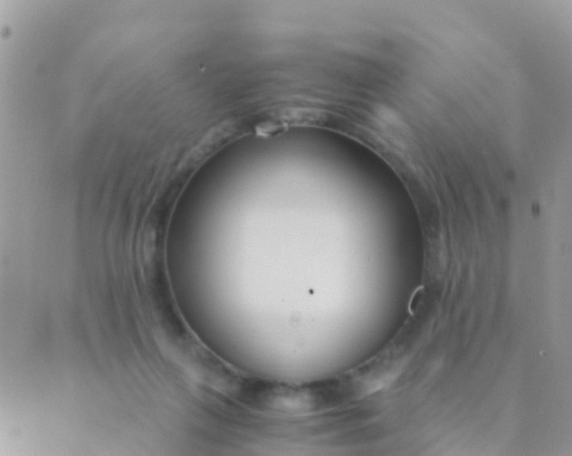 X0000089430263200707061351