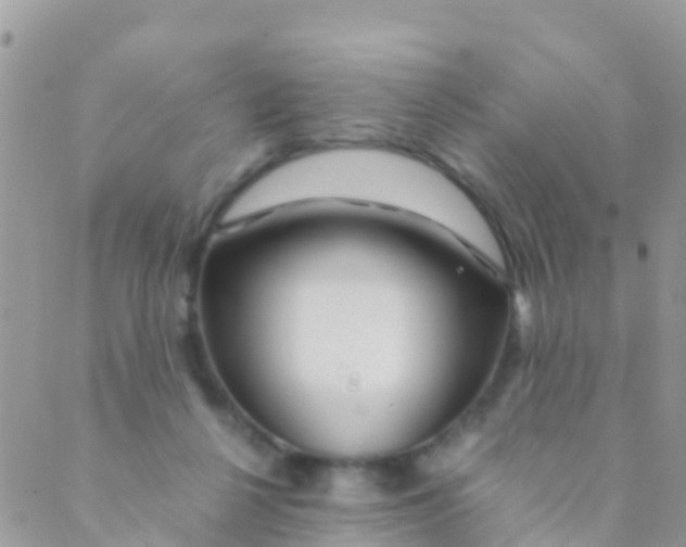 X0000089430264200707061351