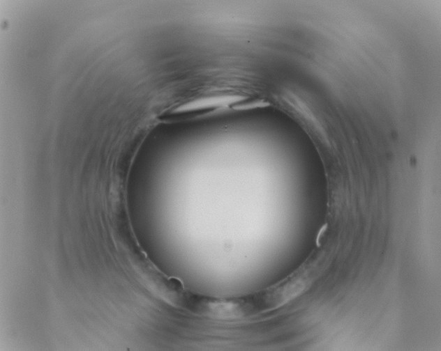 X0000089430265200707061351