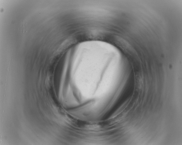 X0000089430266200707061351