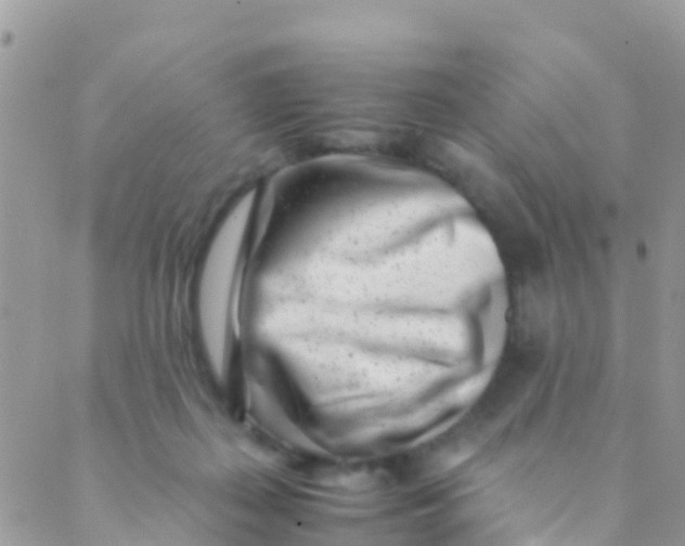 X0000089430267200707061351