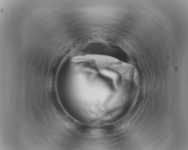 X0000089430268200707061351