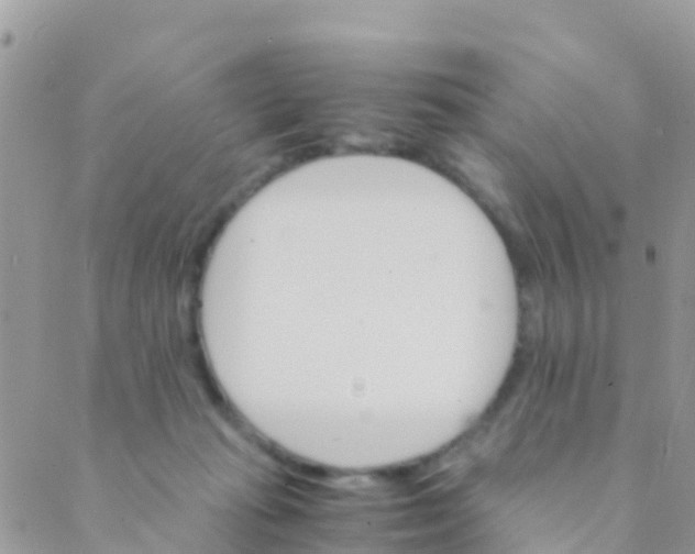 X0000089430269200707061351