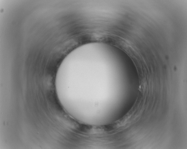 X0000089430270200707061351