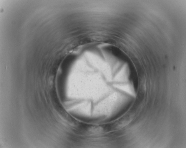 X0000089430271200707061351