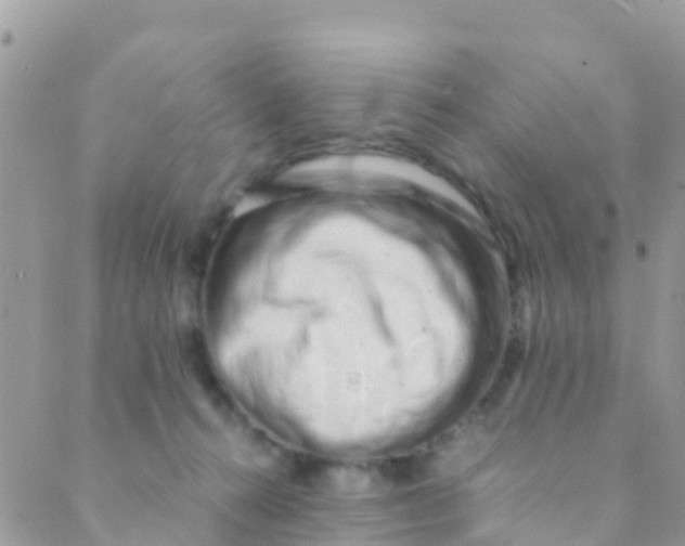 X0000089430272200707061351