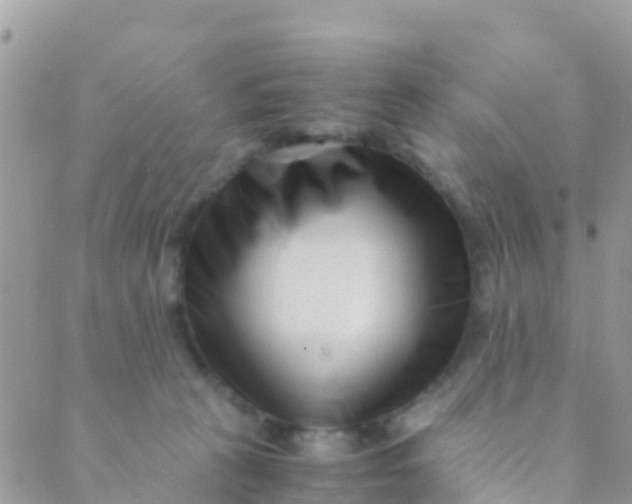 X0000089430273200707061351